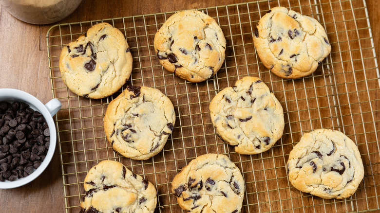 A cooling rack of very pale chocolate chip cookies