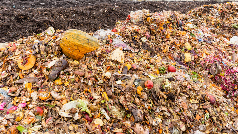 Piles of food waste sitting outside.
