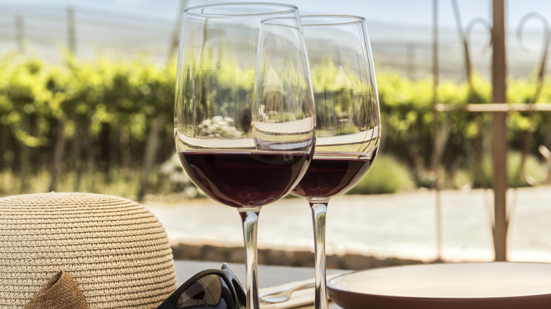 Two glasses of pinot noir wine in front of a vineyard