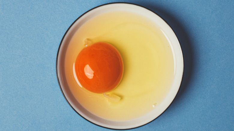 raw egg in small plate against a blue background