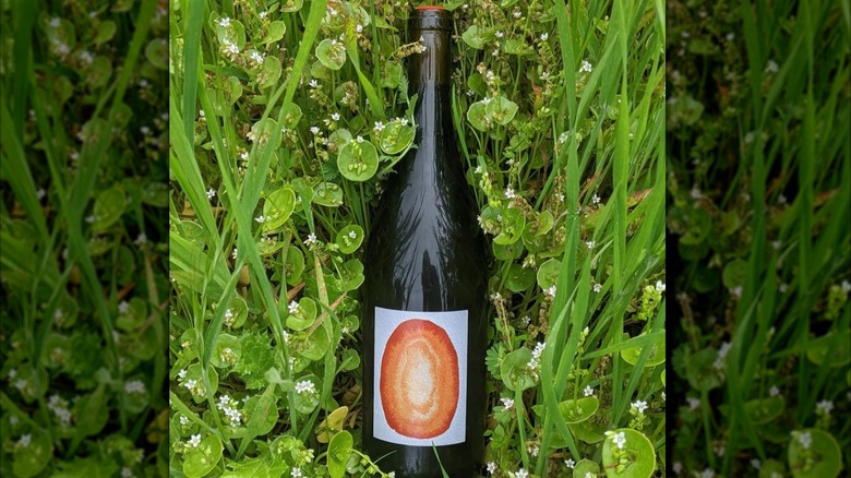 A bottle of wine laying on a field