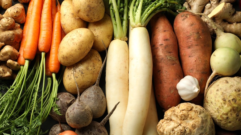 Various raw root vegetables