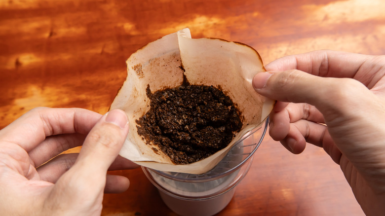 used coffee grounds from filter coffee