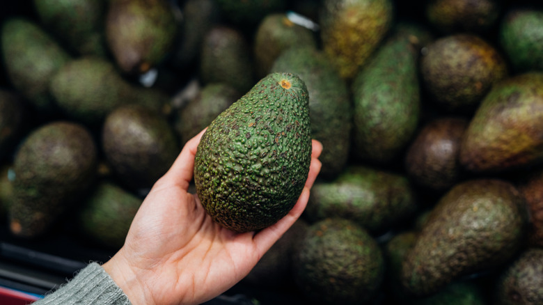 A pile of bright green unripe avocados with purple stickers.