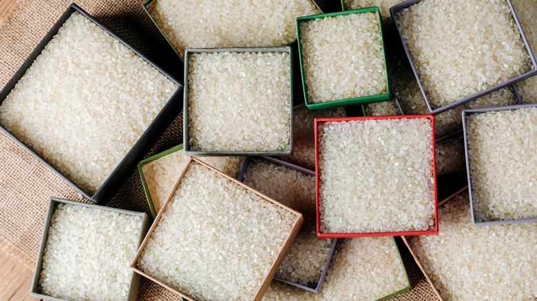Multiple differently sized square containers with rice