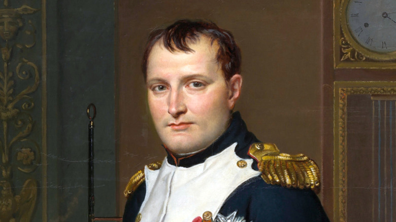 Napoleon Bonaparte looking about as cheerful (or more so) than he does in any other portrait