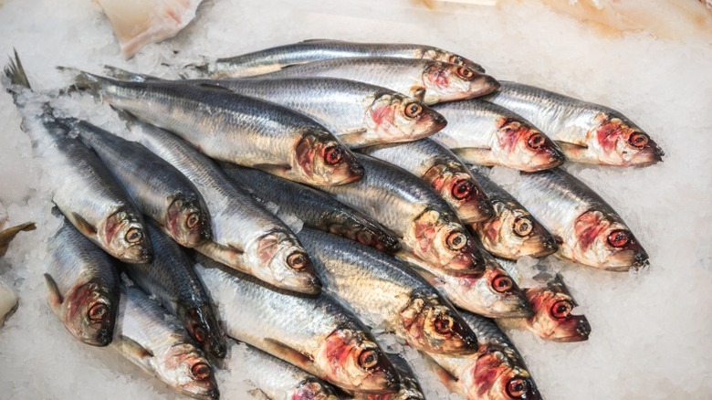 A number of fresh herring.