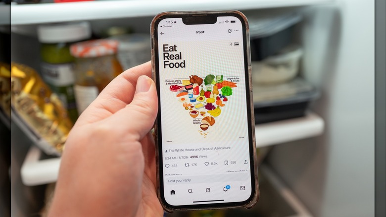 Illustrative image, close-up of a person's hand holding an iPhone displaying a social media post from the US Department of Health and Human Services showing the revised Food Pyramid with caption Eat Real Food, above the refrigerator in a domestic kitchen,