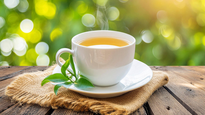 A cup of hot green tea