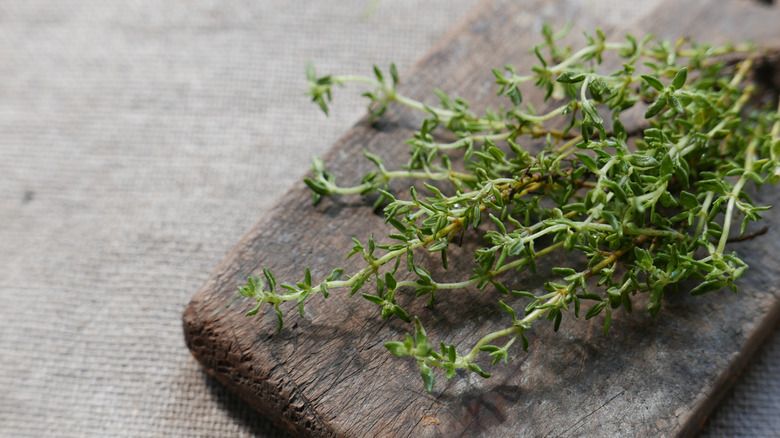 Fresh thyme on wooden