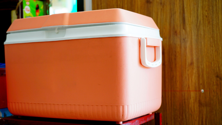 orange plastic cooler