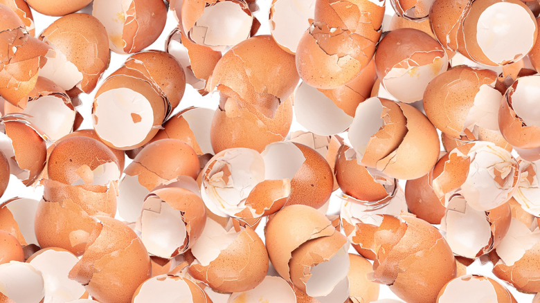 Close-up of broken eggshells