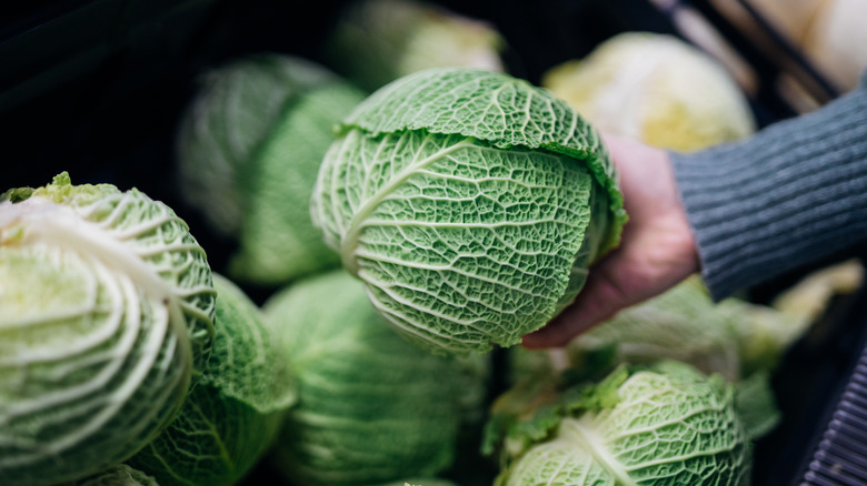 A hand holds up a cabbage head in front of a display of other cabbages