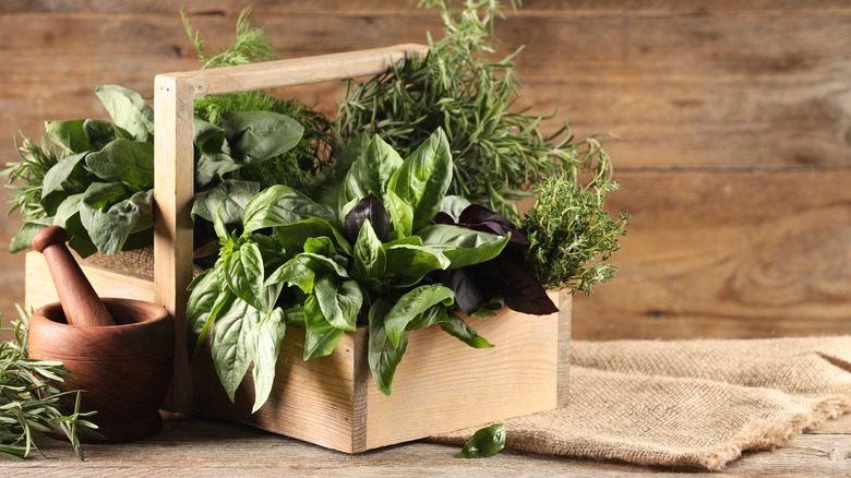 Wooden basket filled with different types of green fresh herbs with a wooden mortar and pestle next to it against a wooden background