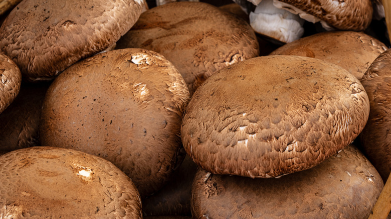 A pile of fresh, giant portobello mushrooms