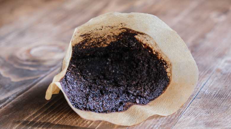 Used cone paper coffee filter