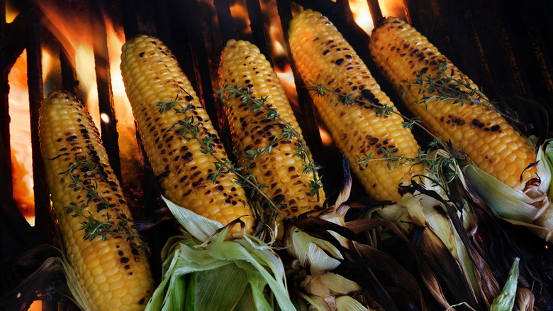 corn on the cob on a grill