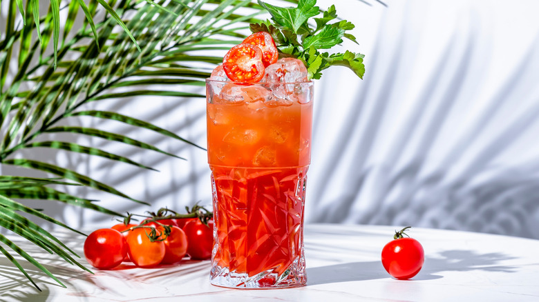 Iced tomato cocktail