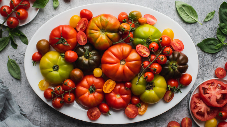 Plate of tomatoes