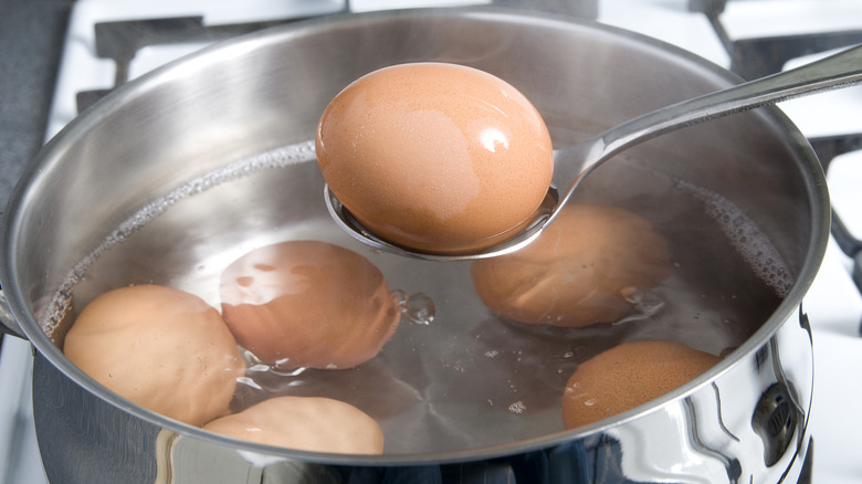 spoon holding boiled egg above pot
