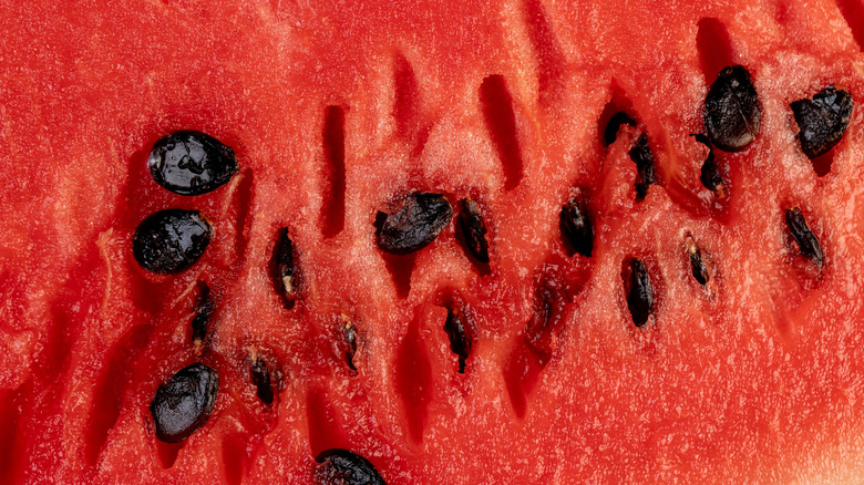 A closeup of watermelon seeds in red watermelon