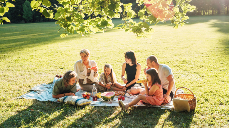 family summer picnic in outdoor park