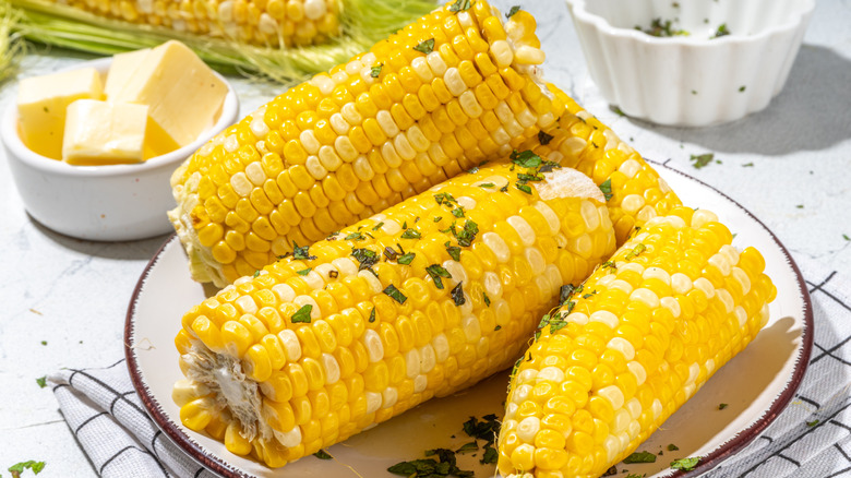 corn on the cob on plate