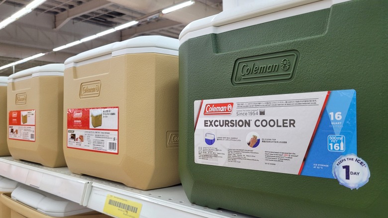 Coleman coolers on a store shelf