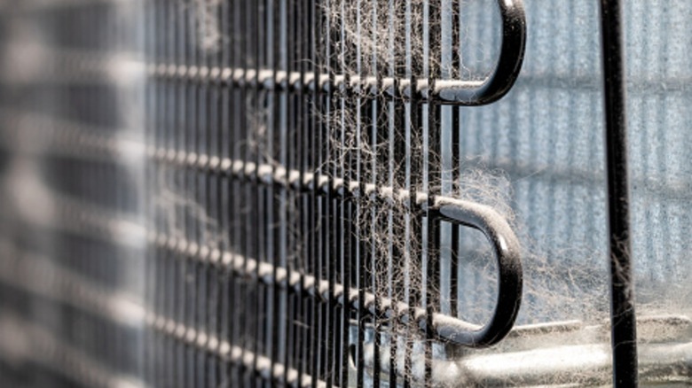Exposed refrigerator coils clogged with pet hair