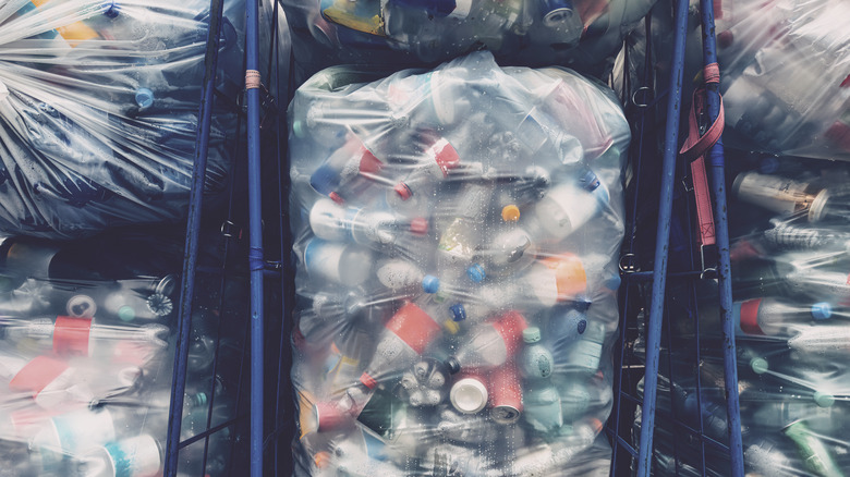 Plastic beverage containers being recycled