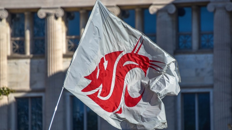 The Washington State University sports logo being displayed on a flag.