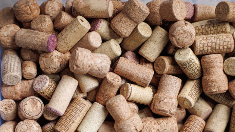 Different types of natural wine corks