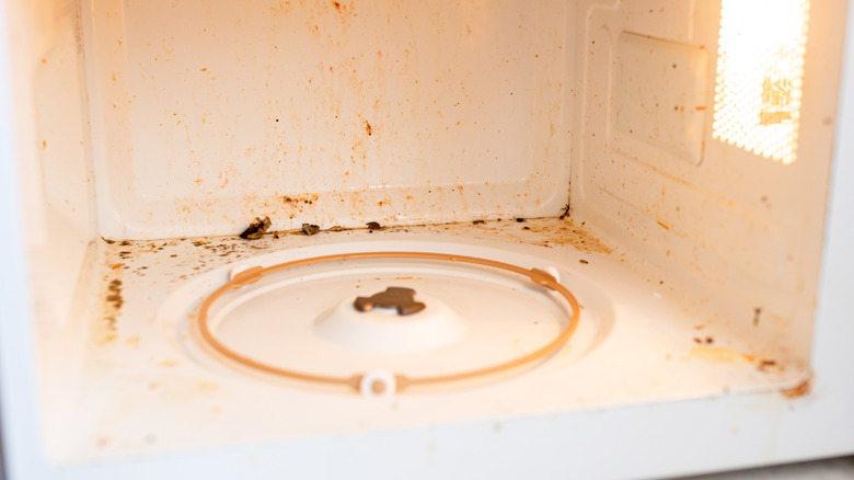 Interior of a food-stained microwave