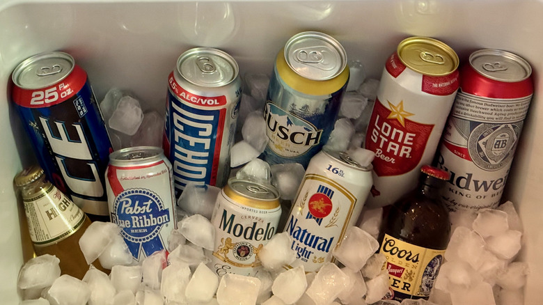 An assortment of 10 beers in ice.