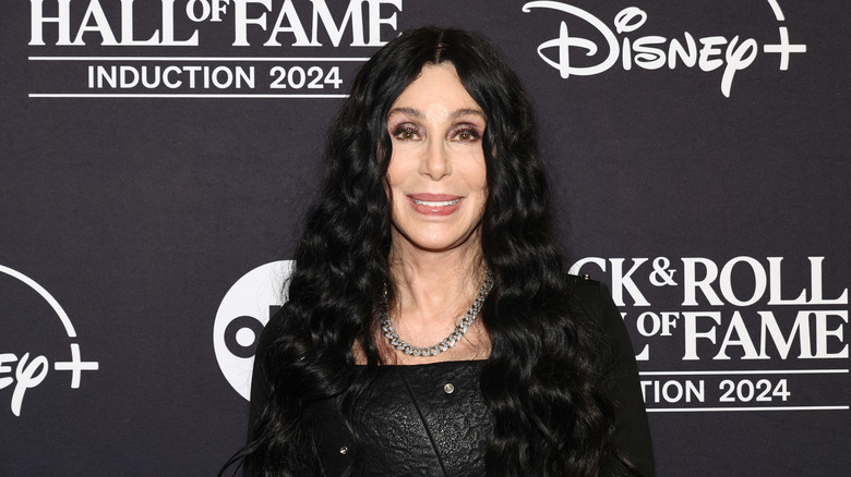 Cher smiling in front of a backdrop at a red carpet event