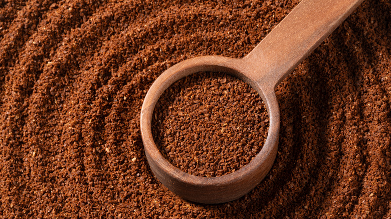 Ground coffee in a wooden spoon