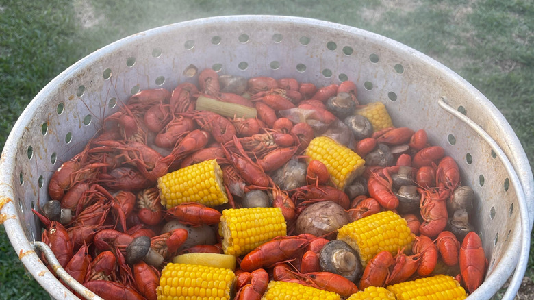 Red crawfish, potatoes, celery, and corn on the cob in large metal strainer