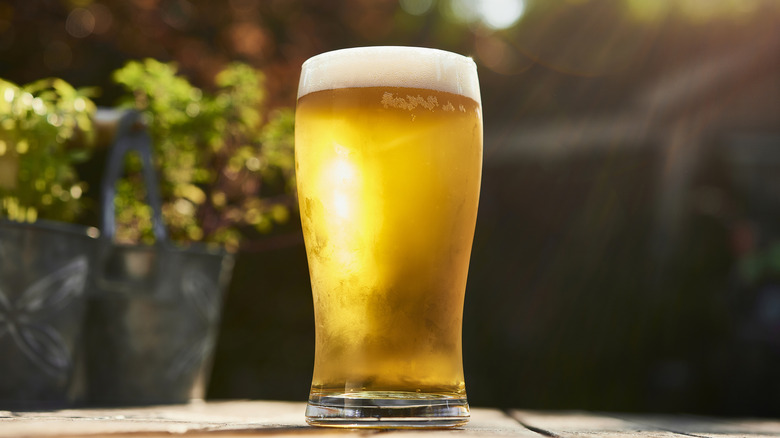 A pint of beer in the sun