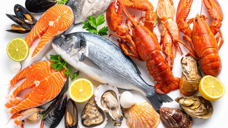 An array of different fish and raw seafood on a white surface