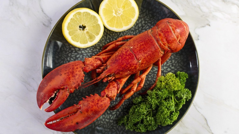 Steamed lobster with herbs and lemon slices.