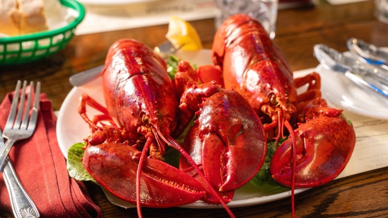 Two whole red lobsters.