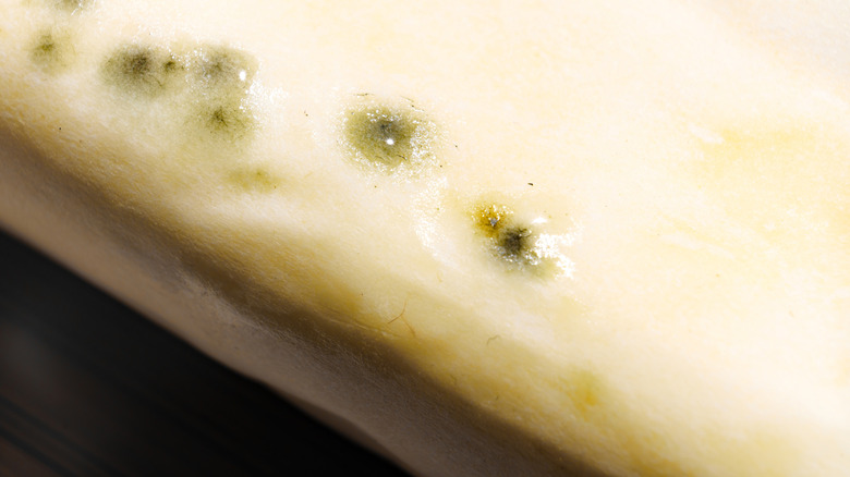 Small mold cultures on a stick of butter