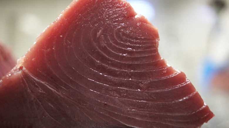 A close-up of a triangular piece of raw tuna.