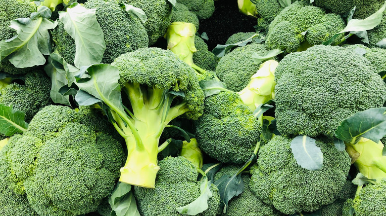 Closeup of pile of fresh broccoli