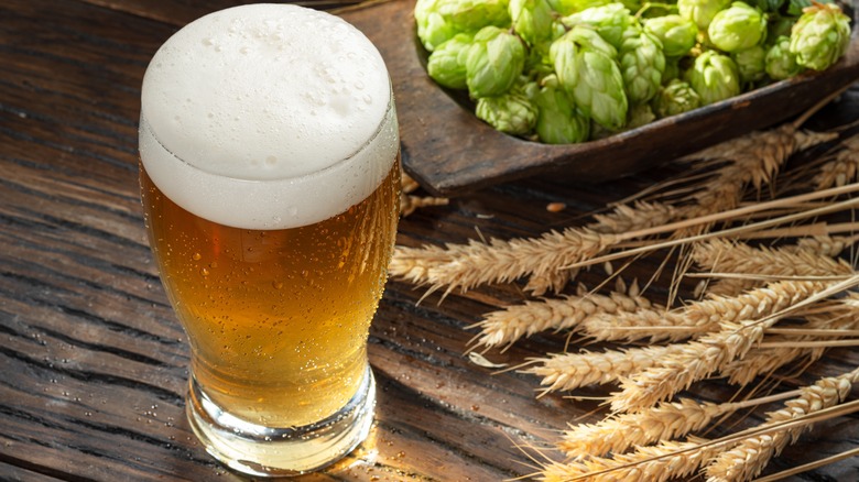 Glass of beer with wheat