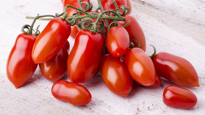 San Marazano tomatoes on the vine