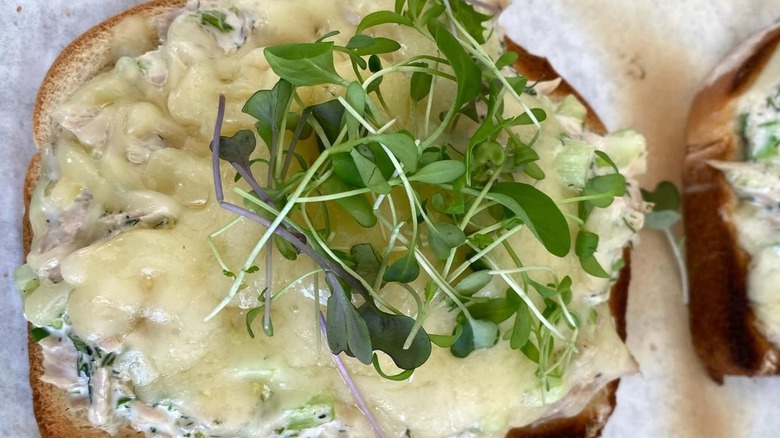 open-face tuna melt with microgreens