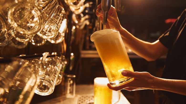 Bartender pouring light beer from a draught into glass mug with empty mugs hanging behind, and a bar setting is in the background.