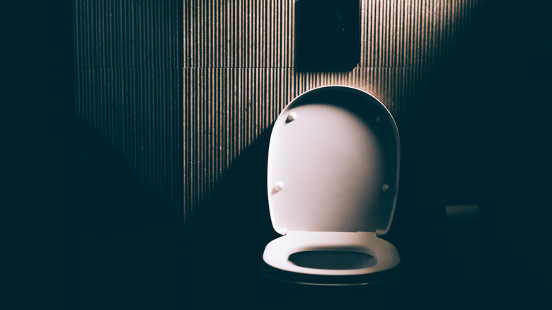 Toilet in dramatic lighting
