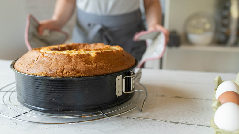 A bundcake just out of the oven, on a kitchen surface